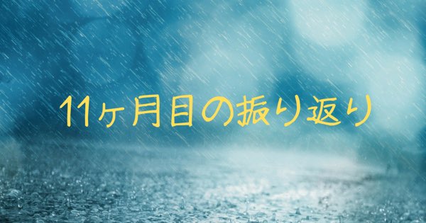 11ヶ月目を終えて